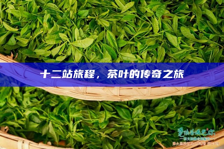 十二站旅程，茶叶的传奇之旅
