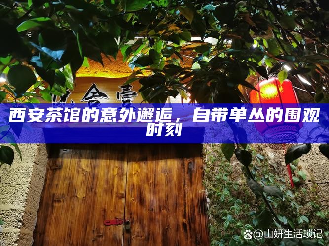 西安茶馆的意外邂逅，自带单丛的围观时刻